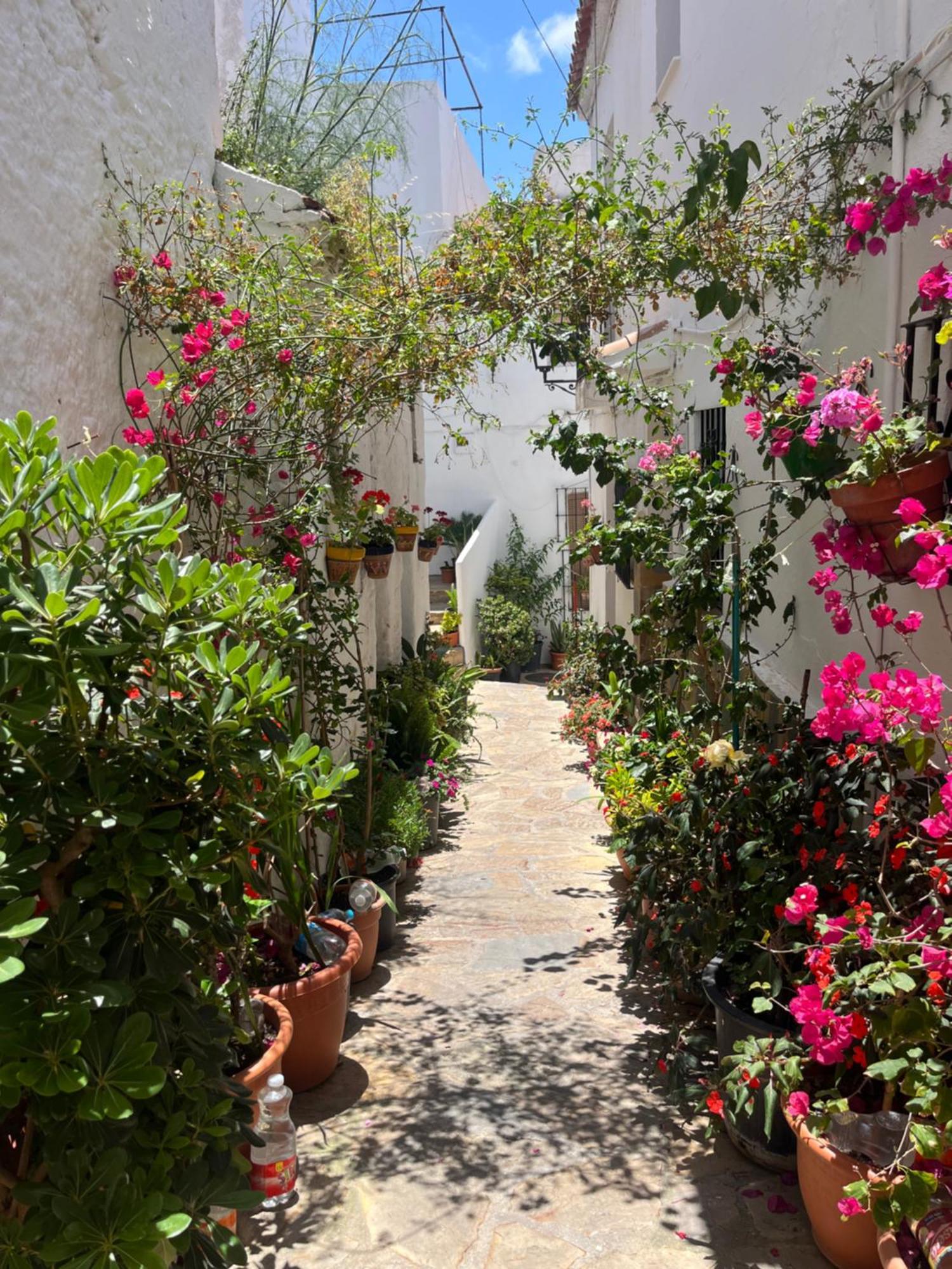Villa La Cuadrita Casares Esterno foto